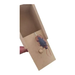 D NQ NP 2X 999881 MLB45383923290 032021 F