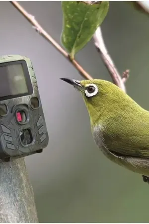 Câmera de Trilha Adventure com Visão Noturna Infravermelha Sensor PIR IP66 Full HD - Jefe's Imports