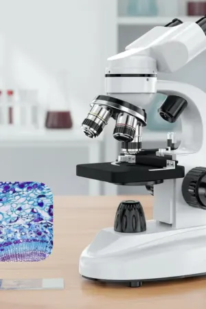 Microscópio Binocular Profissional Biológico com 4 Objetivas – Até 1600X com Maleta - Jefe's Imports