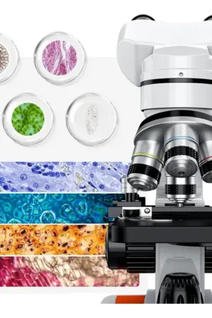 Microscópio Binocular Profissional Biológico com 4 Objetivas – Até 1600X com Maleta - Jefe's Imports