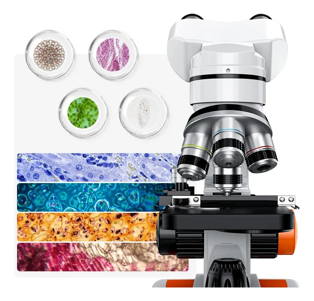 Microscópio Binocular Profissional Biológico com 4 Objetivas – Até 1600X com Maleta – Jefe's Imports Microscópio Binocular Profissional Biológico com 4 Objetivas – Até 1600X com Maleta - Jefe's Imports