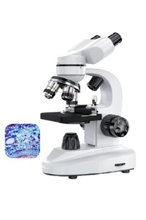 Microscópio Binocular Profissional Biológico com 4 Objetivas – Até 1600X com Maleta - Jefe's Imports