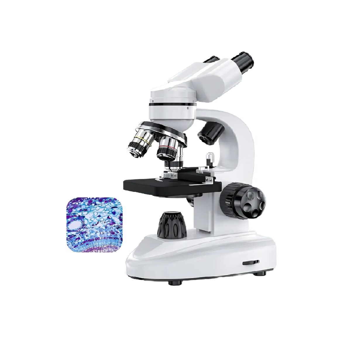 Microscópio Binocular Profissional Biológico com 4 Objetivas – Até 1600X com Maleta - Jefe's Imports Microscópio Binocular Profissional Biológico com 4 Objetivas – Até 1600X com Maleta - Jefe's Imports