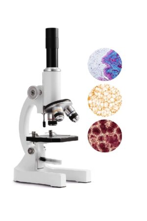 Microscópio Biológico Monocular Profissional 64x a 2400x com Iluminação Ajustável - Jefe's Imports