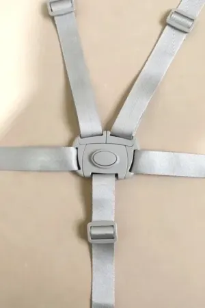 Cinto de Segurança Infantil 5 Pontos Ajustável para Cadeira e Carrinho - Jefe's Imports