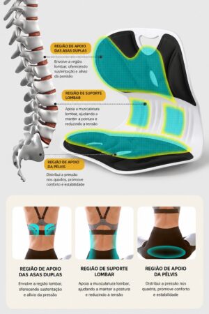 Encosto Ortopédico Ergonômico para Cadeira com Apoio Lombar e Assento Postural - Jefe's Imports